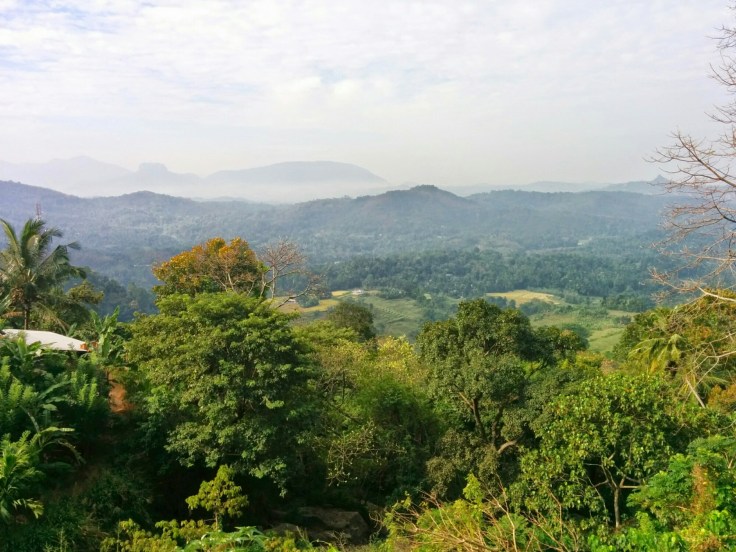 wp-1424055492529 image