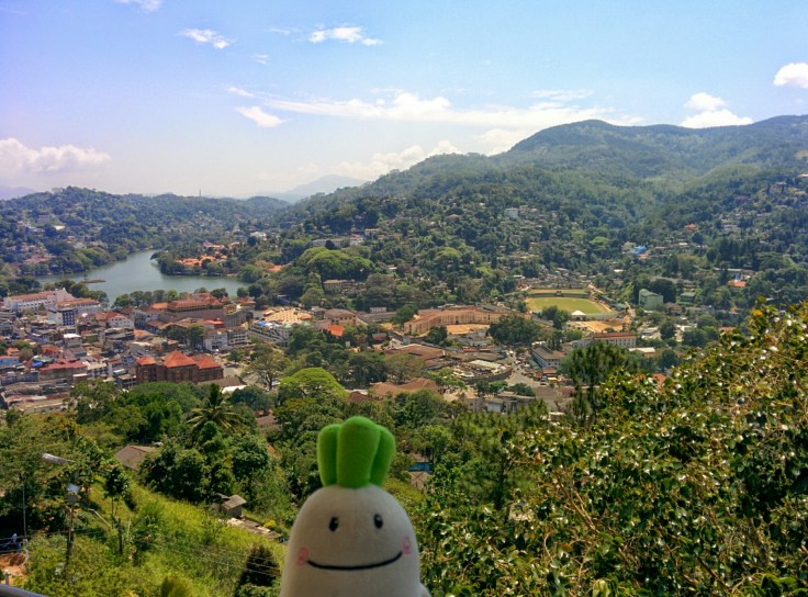 wp-1424055638173 image