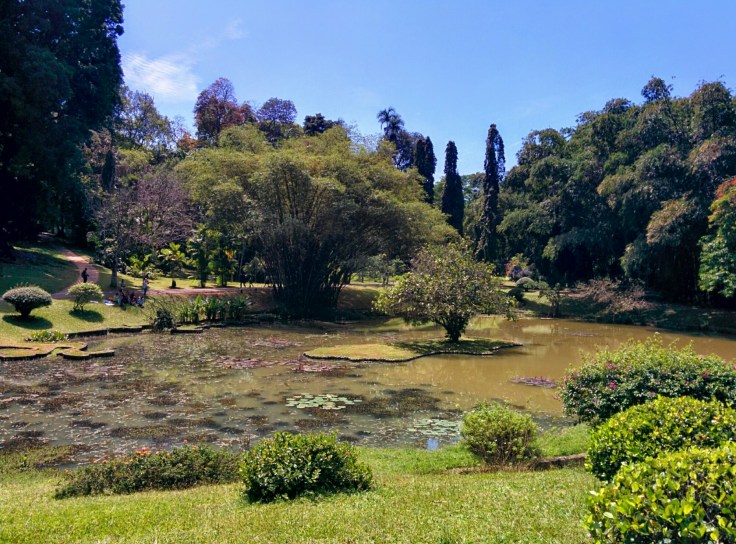 wp-1424055694932 image