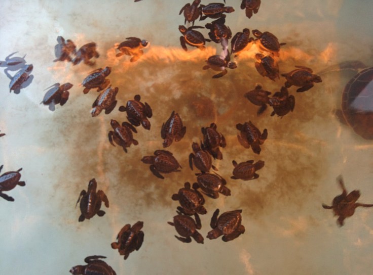 IMG_20150215_133139~2