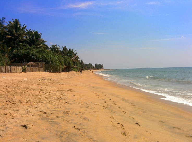 IMG_20150215_134641~2