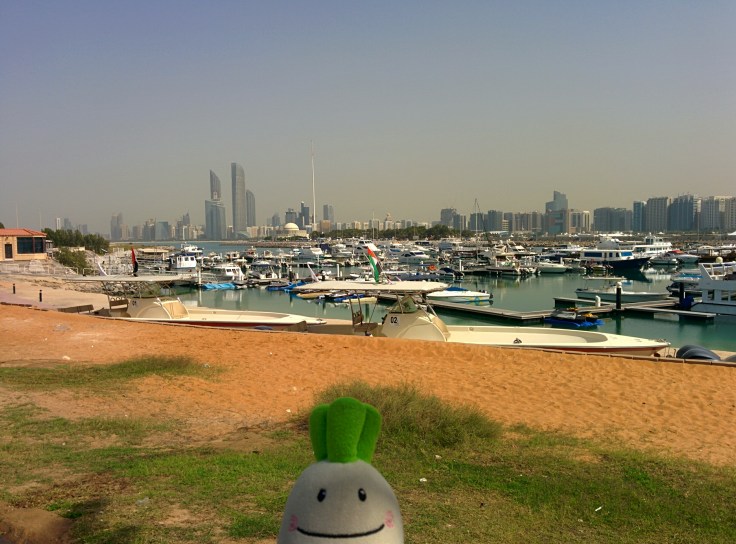 IMG_20150217_131952~2