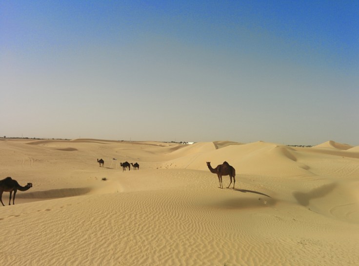 IMG_20150218_095441~2