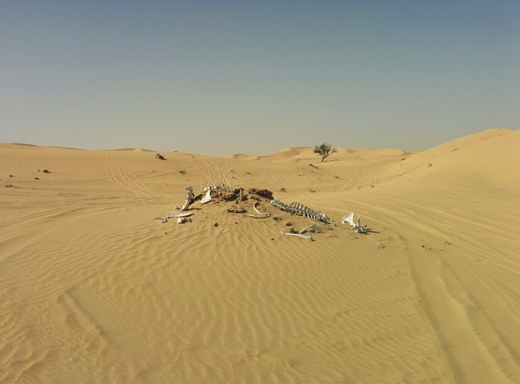 IMG_20150218_101405~2