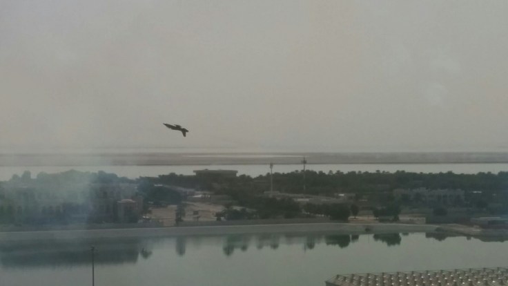 IMG_20150218_144554~2